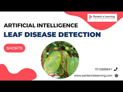 AI LEAF DISEASE DETECTION #shorts #AI #Project