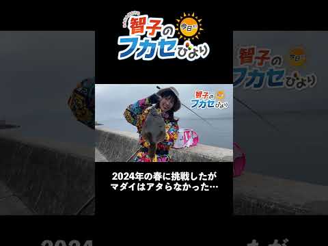 【神回】夕マヅメ一発！40cmオーバー真鯛をフカセ釣りで仕留めた瞬間🎣🔥[阪本智子]