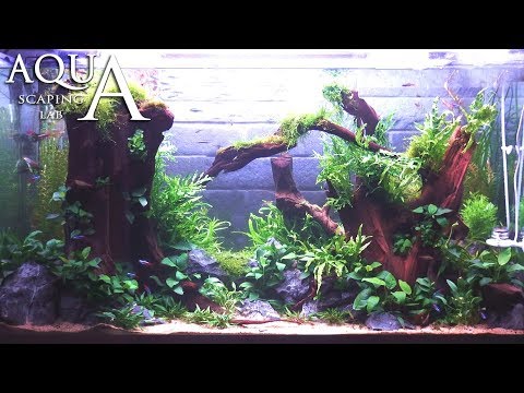 Aquascaping Lab