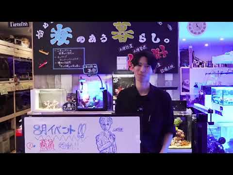 【ショートマンTV】8月のイベント・キャンペーン&入荷情報!