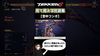 【鉄拳8】見て覚える用語集【空中コンボ】