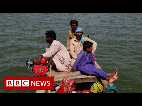 Pakistan floods: more than 1300 dead and 33 million affected – BBC News