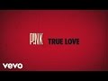 MV เพลง True Love - Pink