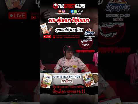 พระอุ้มหมา ชีอุ้มแมว  • คุณออโต้ เดอะโกส | #shorts #theghostradio