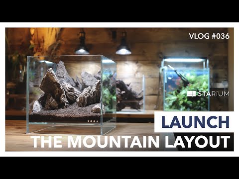【アクアリウム】1年間放置した山岳レイアウト水槽を立ち上げる/DOOAネオグラスエア/Launch a mountain layout aquarium/vlog #028+#036