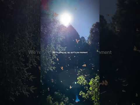 🎧 🎵🎶 #music #songs #golden #upupup #kpop #fypシ゚viral #youtubeshorts