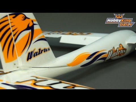 HobbyKing Daily - HK Walrus - UCkNMDHVq-_6aJEh2uRBbRmw