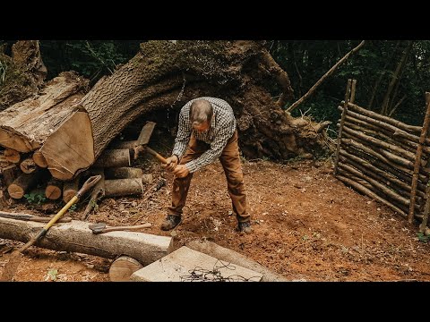 Tree Root Bushcraft Camp: Building a  Survival shelter | Perimeter Walls | Kitchen