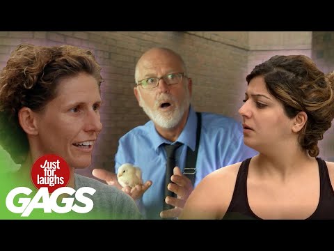 Just For Laughs Gags |  Funniest and Best Pranks