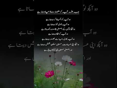 #islamic #status #video #deeneislam #islamicquotes #shortsvideo #shortsfeed #shorts