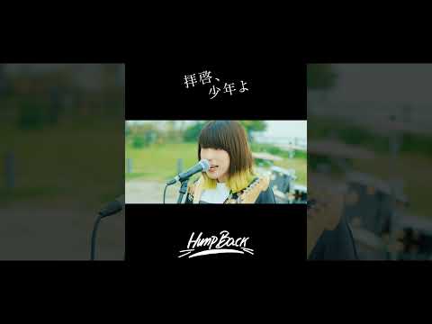 Hump Back - 「拝啓、少年よ」#humpback #拝啓少年よ