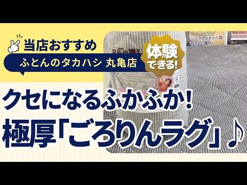 香川県丸亀市│ふかふか快適！掃除も簡単で触り心地抜群の超極厚ラグ「ごろりんラグ」のご紹介！│ふとんのタカハシ 丸亀店