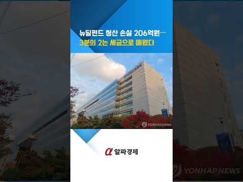 뉴딜펀드 청산 손실 206억원…3분의 2는 세금으로 메웠다 : 알파경제TV