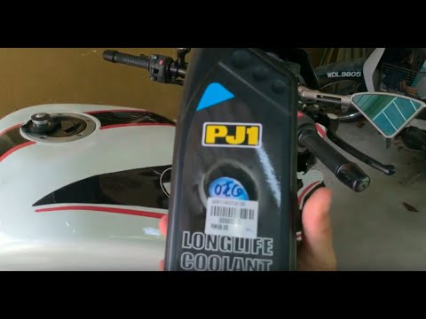 Nuevo BYD Dolphin: La Revolución Eléctrica de BYD en España