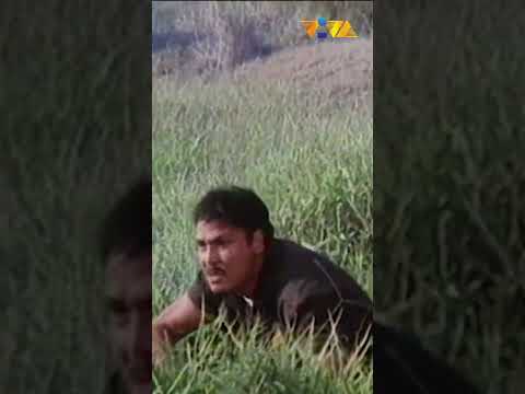 Kahit saan magpunta, kaguluhan ang kay Anthony Alonzo! #shorts #movieclips #vivafilms