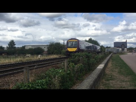 Trains at Attenborough nature reserve 29/08/22
