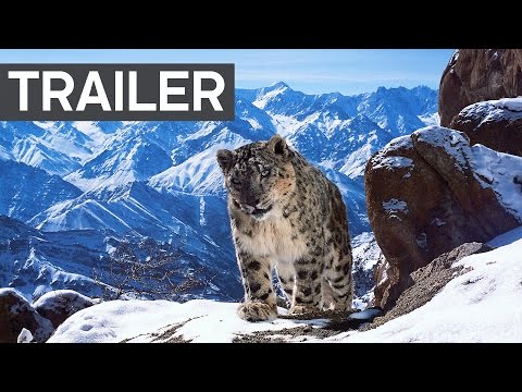 Planet Earth II: Official Extended Trailer - BBC Earth - UCwmZiChSryoWQCZMIQezgTg