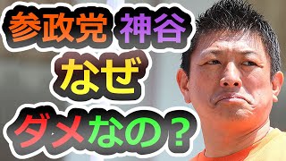 【日本を良くする方法】参政党って何がダメなの？投票して良いの？いけないの？【神谷宗幣】【参政党】