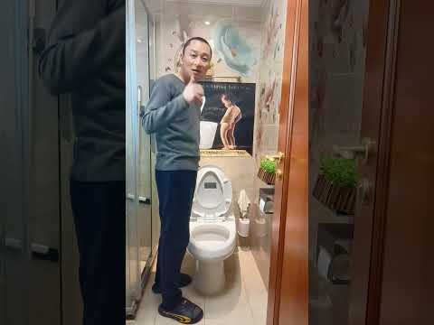 New Year 2025: Tired of Toilet Seat Lifter Hassles in Commercial Restrooms? Solved!