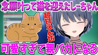 ついに念願叶って猫を飼い始めた小清水透【にじさんじ切り抜き】