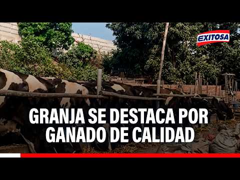 🔴🔵 La granja "Santa Teresita" se destaca por la crianza de vacunos de alta calidad