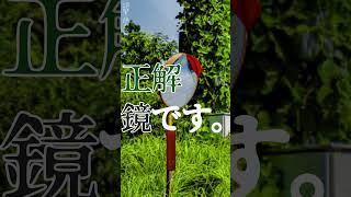 【民俗学】30秒で謎が深まる鏡の民俗学【雑学、考察、民俗学、トリビア、解説、歴史】#shorts　#民俗学