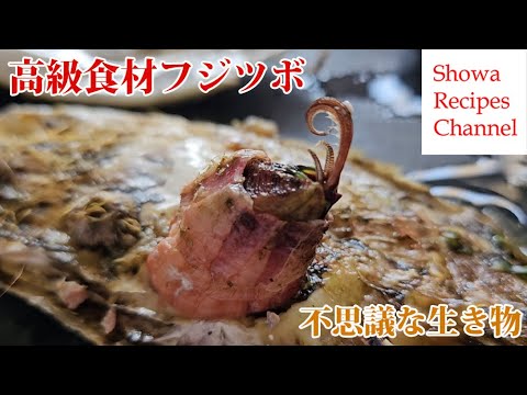 牡蠣殻に付いていたフジツボを観察【夏休み自由研究にオススメ！】