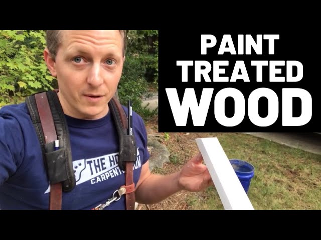 Can You Paint Pressure Treated Wood StuffSure