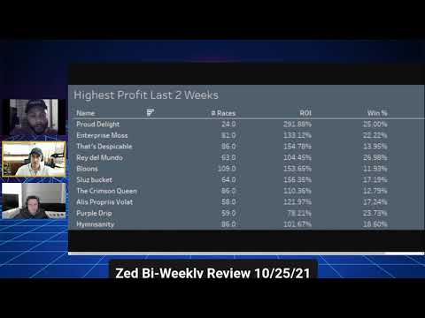 Zed.Run bi-weekly review 10/25/17