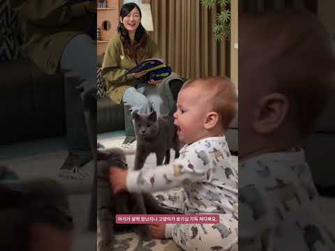 아기가 <strong>살짝</strong> 장난치니 고양이가 호기심 가득 쳐다봐요.