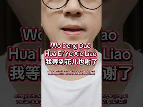 Wo Deng Dao Hua Er Ye Xie Liao (我等到花儿也谢了) aku menunggu hingga bunga layu