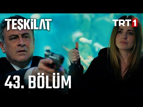 Teşkilat 43. Bölüm