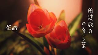 花譜 #158 「周波数0の合言葉」 オリジナルMV