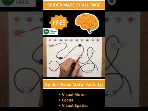Spider Maze Challenge