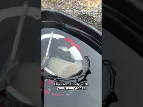 High school football player finds venomous snake in his helmet during practice