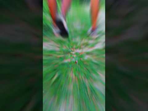 agniveer running #army #1600mtrruning #bhojpuri #armyrunning #motivation #shorts #viral