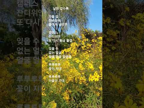 #날이 갈수록    #송창식  #가을 잎 찬바람에 흩어져 날리면.....   #루루루루 가을이 가네