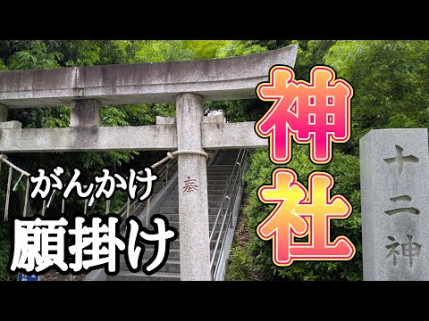 大学の学費を願掛けで払えるように参拝してきた〜十二神社編〜