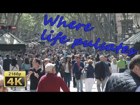 La Rambla, Barrio Gotico, Barcelona, Catalonia - Spain 4K Travel Channel - UCqv3b5EIRz-ZqBzUeEH7BKQ