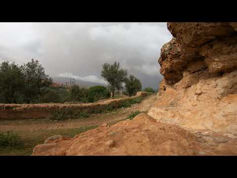 Sound of nature. storm rain and wind sounds