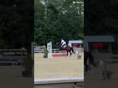 MADE OT THROUGH THE WEEKEND  #horse #equestrianjourney #showjumping