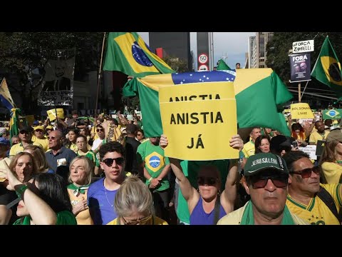 Bolsonaro supporters protest government and judiciary amid US tariffs | AFP