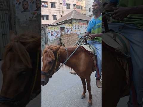 Horse Riding in the Middle of City Traffic! #shorts