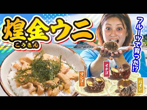 南の島のミスワリン 168回放送分