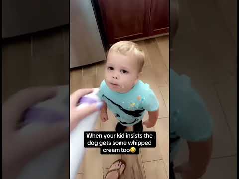 The Most Hilariously Cute Dog#funnydogs#cute#doglover#FunnyCuteDog#AdorablePuppy#FunnyCuteDog