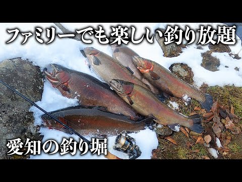 素人でも激安で50㎝級が釣り放題の【訳アリ】釣り堀が地域最強です！