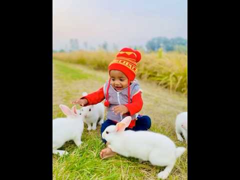 Nirvair d masti #ai #farming #viralvideos #villagelife #cutebaby #indvsaus #shortvideos