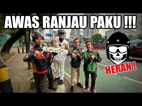 RANJAU PAKU TERNYATA BANYAK SEKALI di jalan protokol