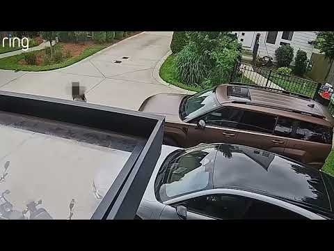Unwelcome Visitor Checks Car Door Twice! | RingTV