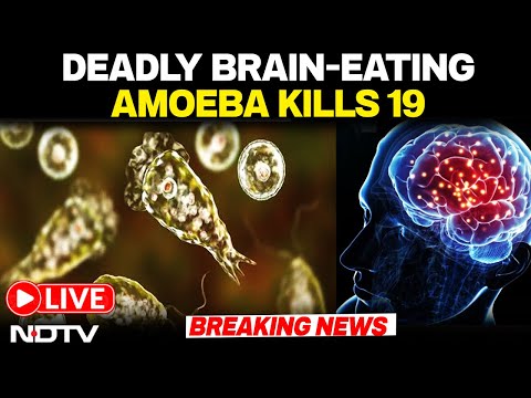 Brain Eating Amoeba In Kerala | Brain Eating Amoeba Outbreak In Kerala | Kerala Amoeba News | Kerala